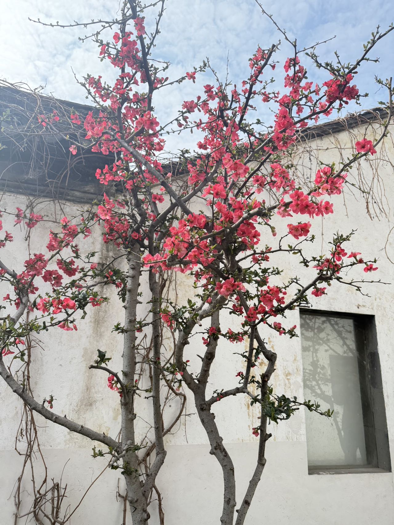 找玩搭子