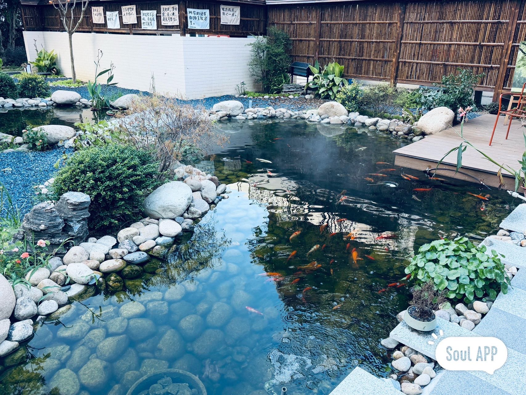 找饭酒搭子