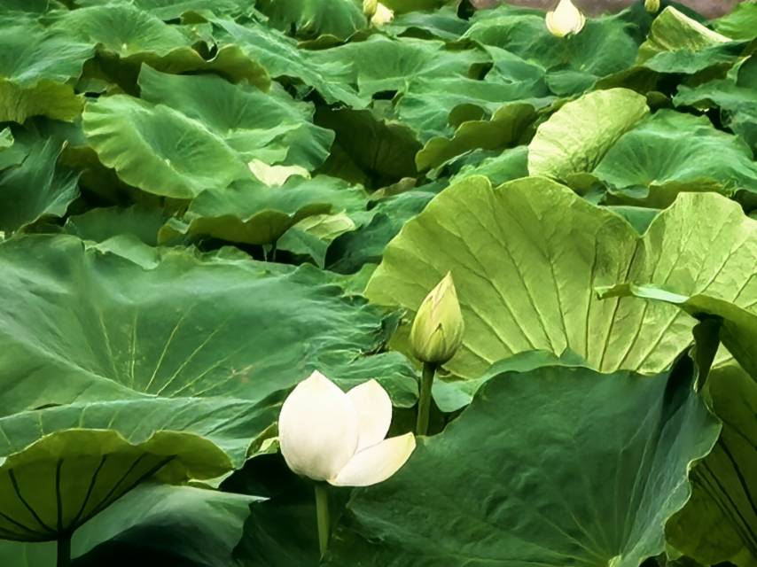 找爬山搭子