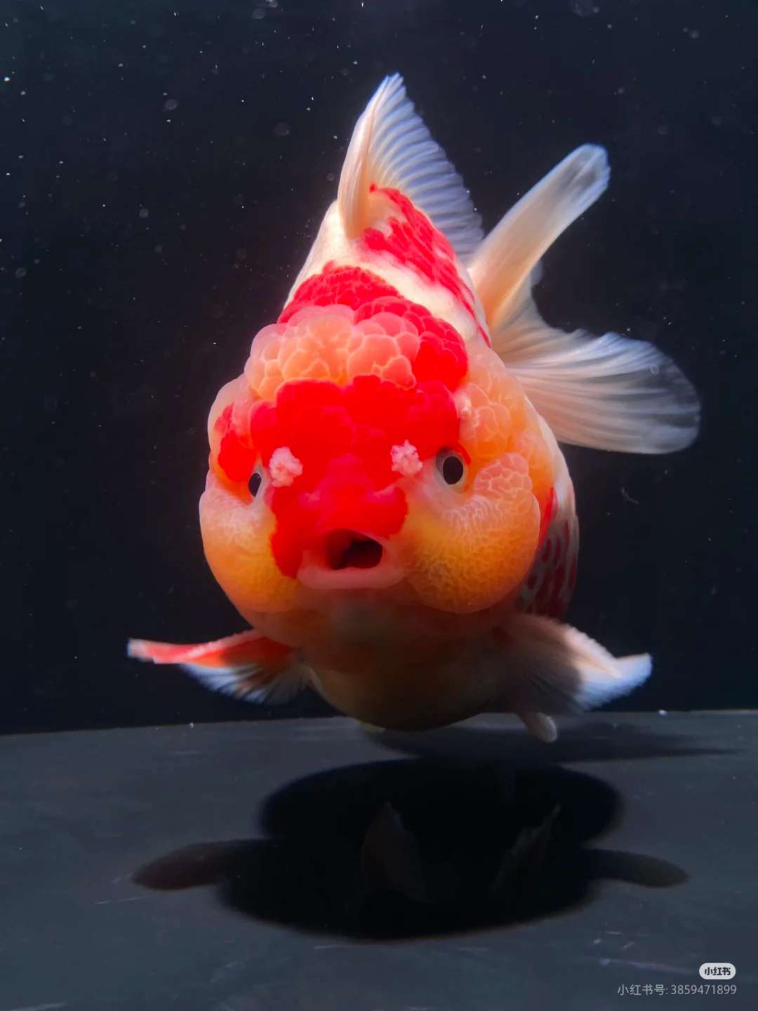 找结伴搭子