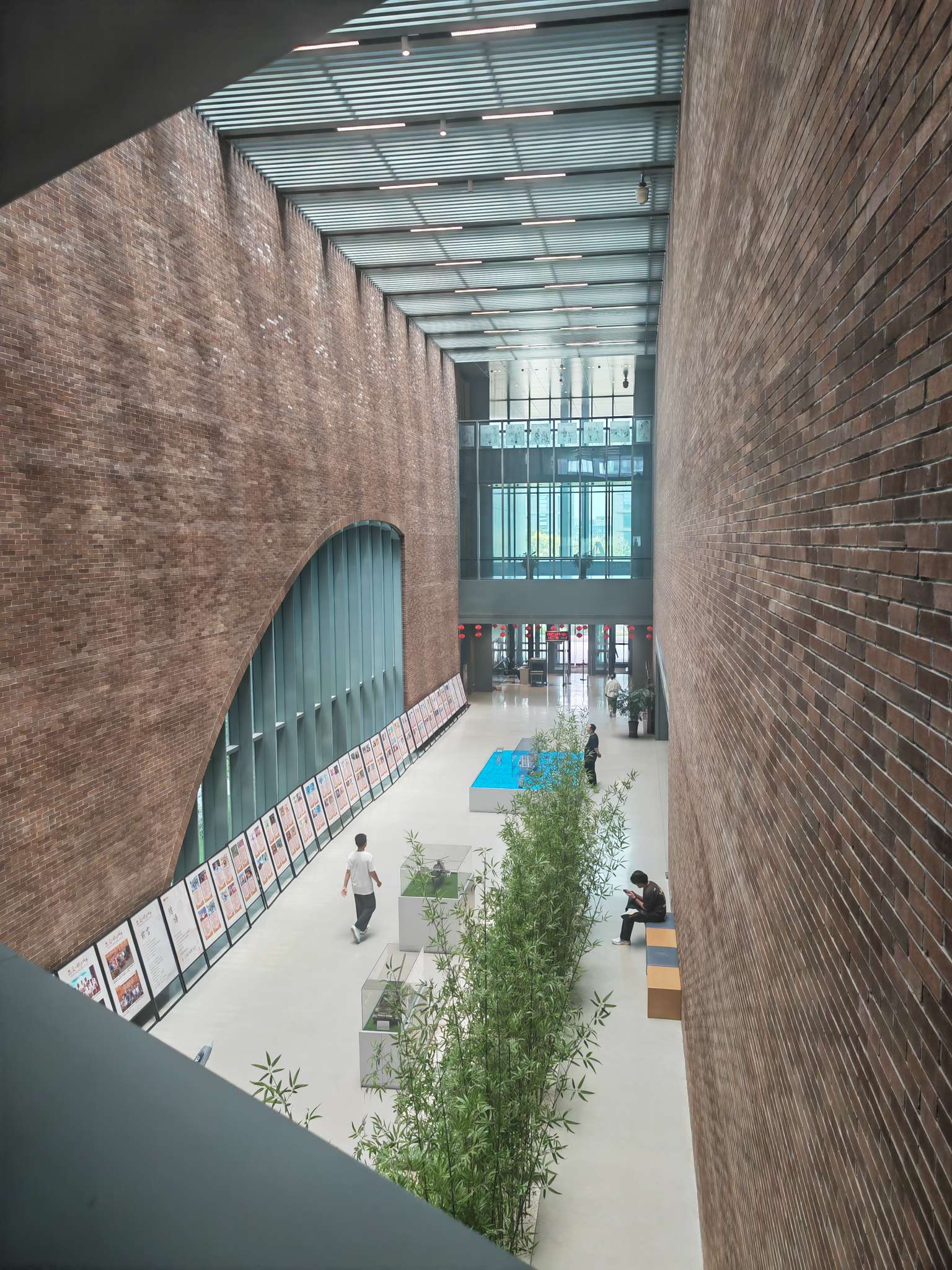 找学习搭子
