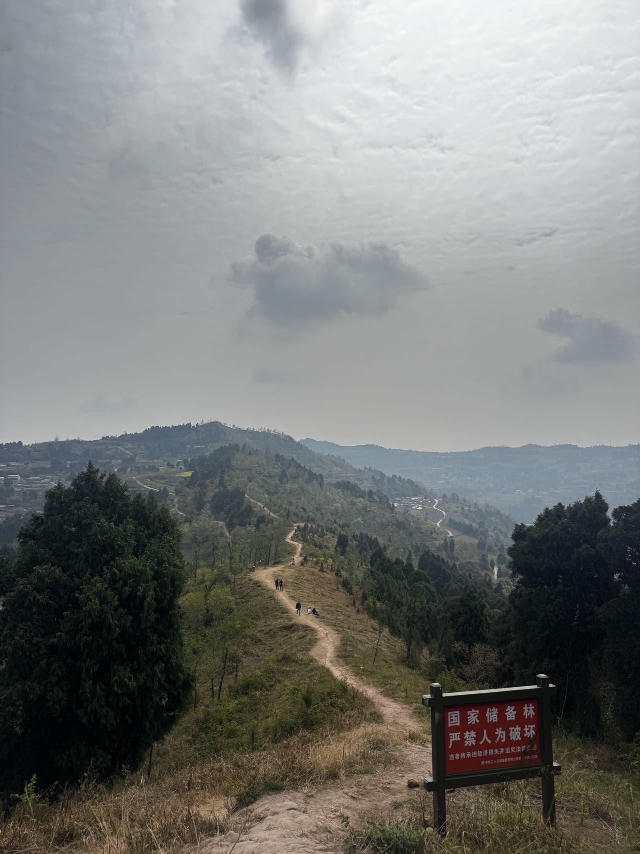 找运动聊天搭子