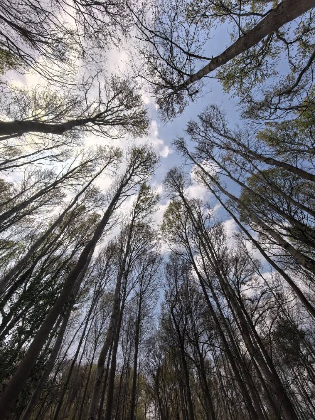 找爬山散步搭子