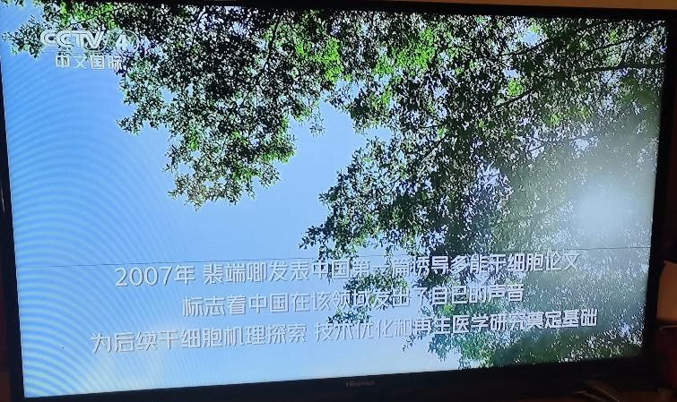 找跑步搭子