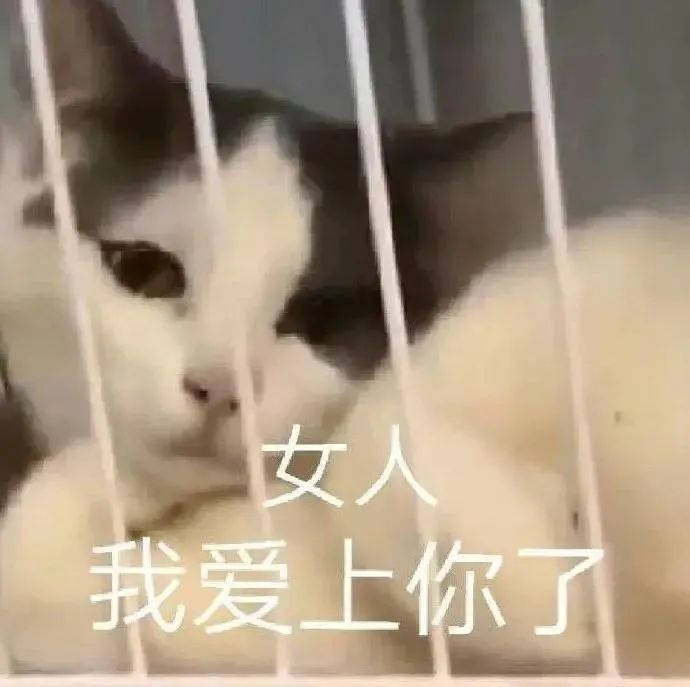 找运动搭子