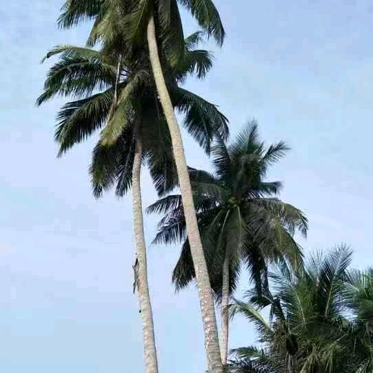 找爬山搭子