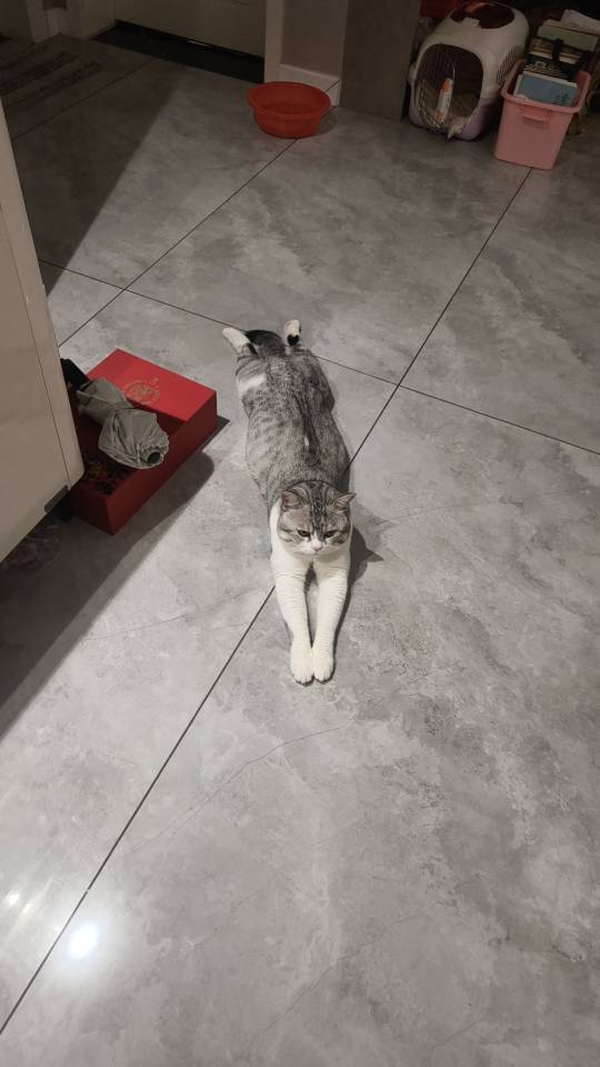 找运动搭子