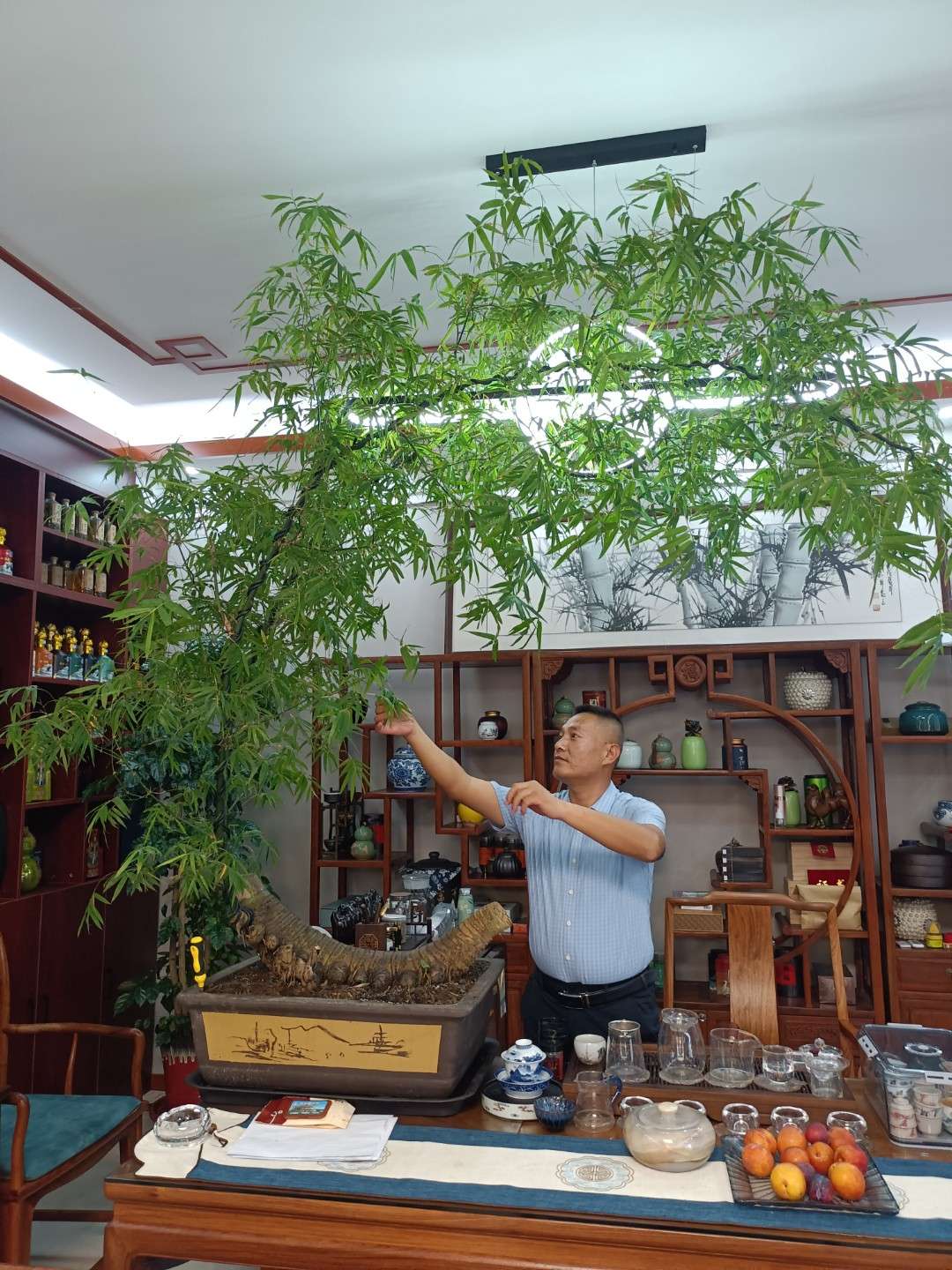 找运动搭子