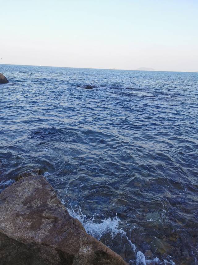 找陪伴搭子