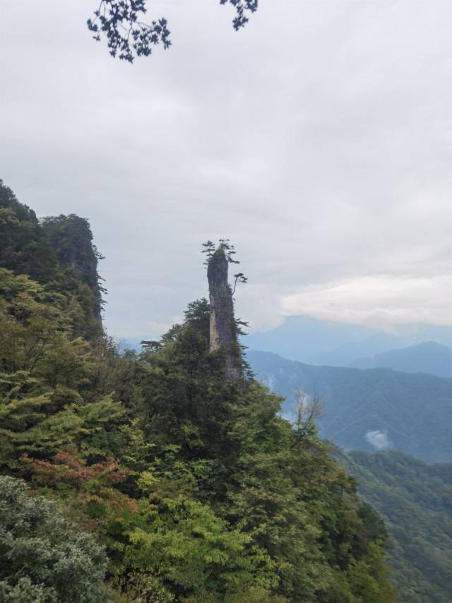 找运动搭子