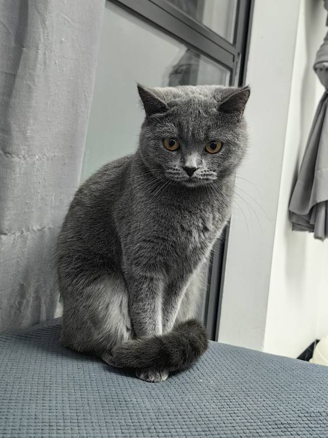 找减肥搭子