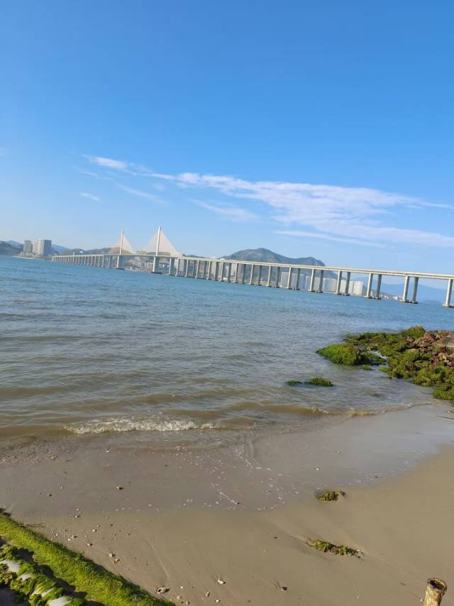 找不限搭子