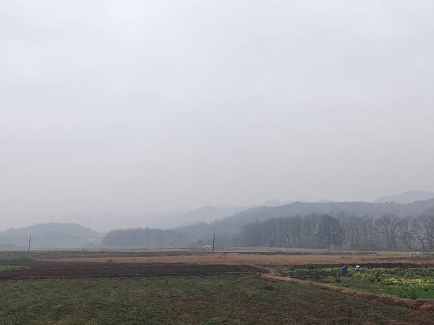 找打游戏搭子