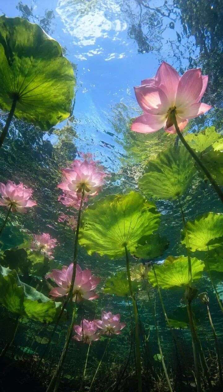 找过日子搭子