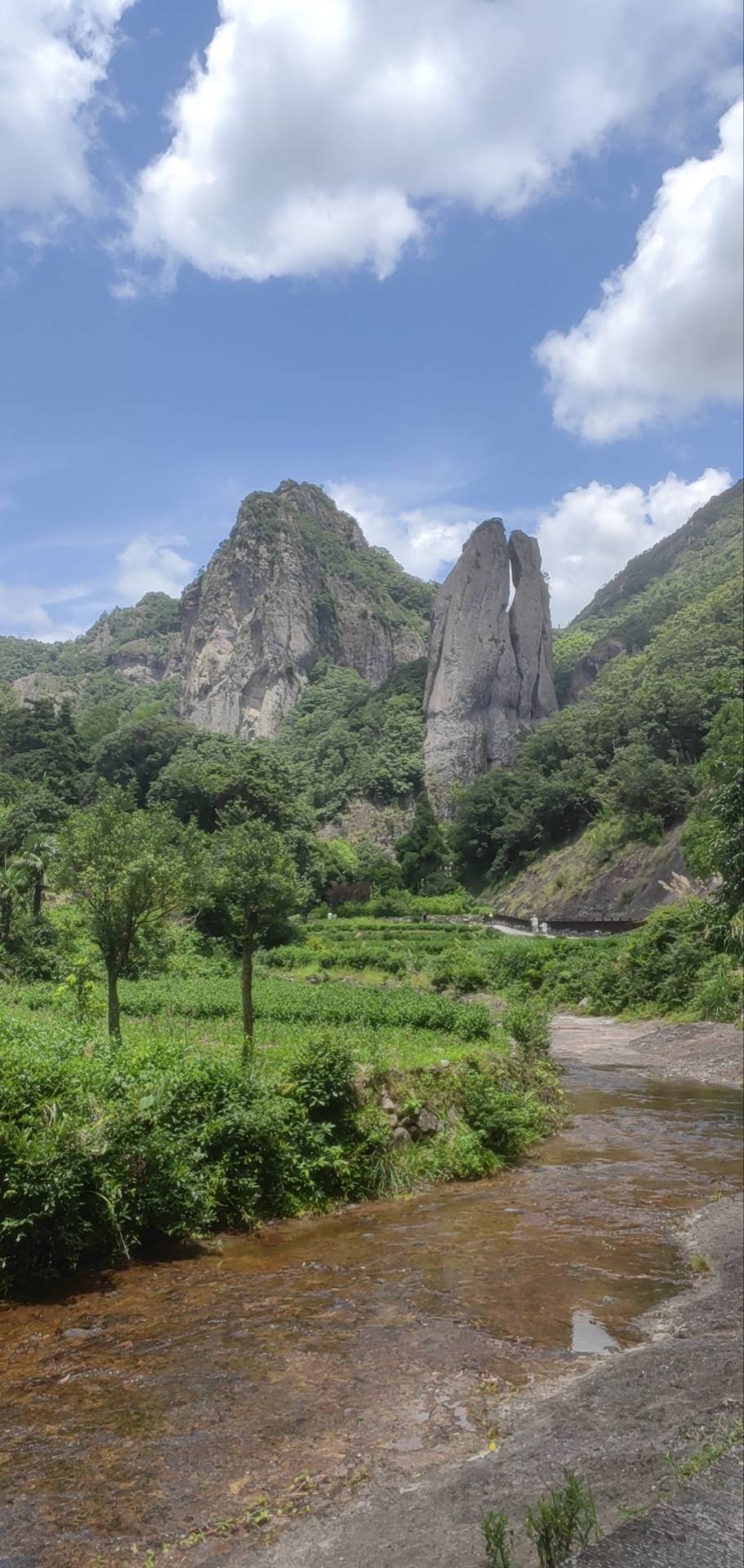 找旅游及美食搭子