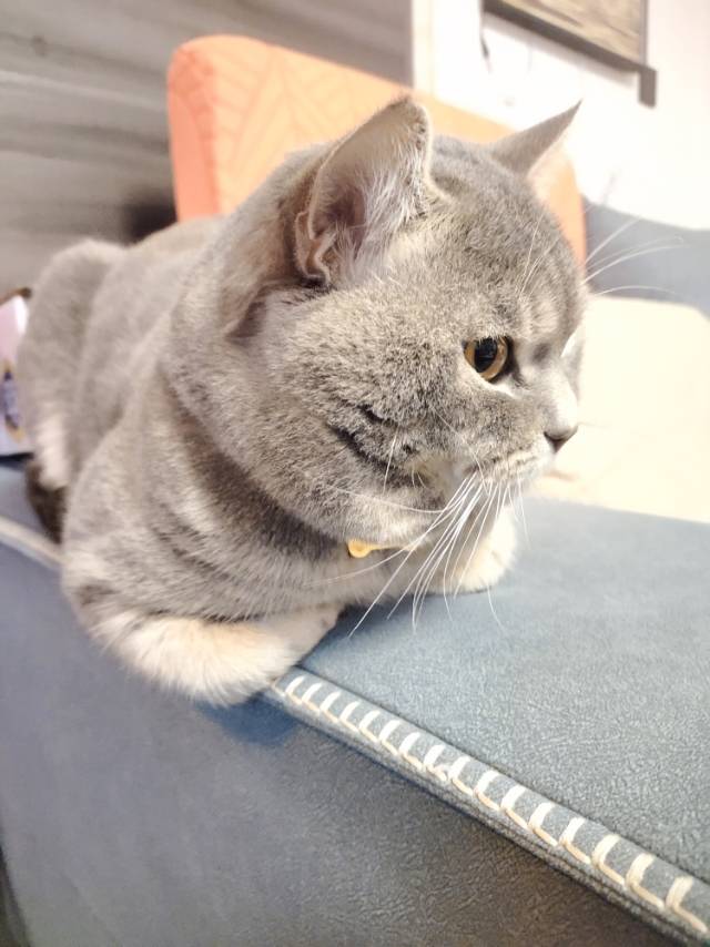 找情绪搭子