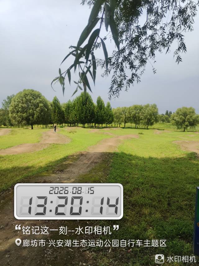 找旅行图书馆学习搭子