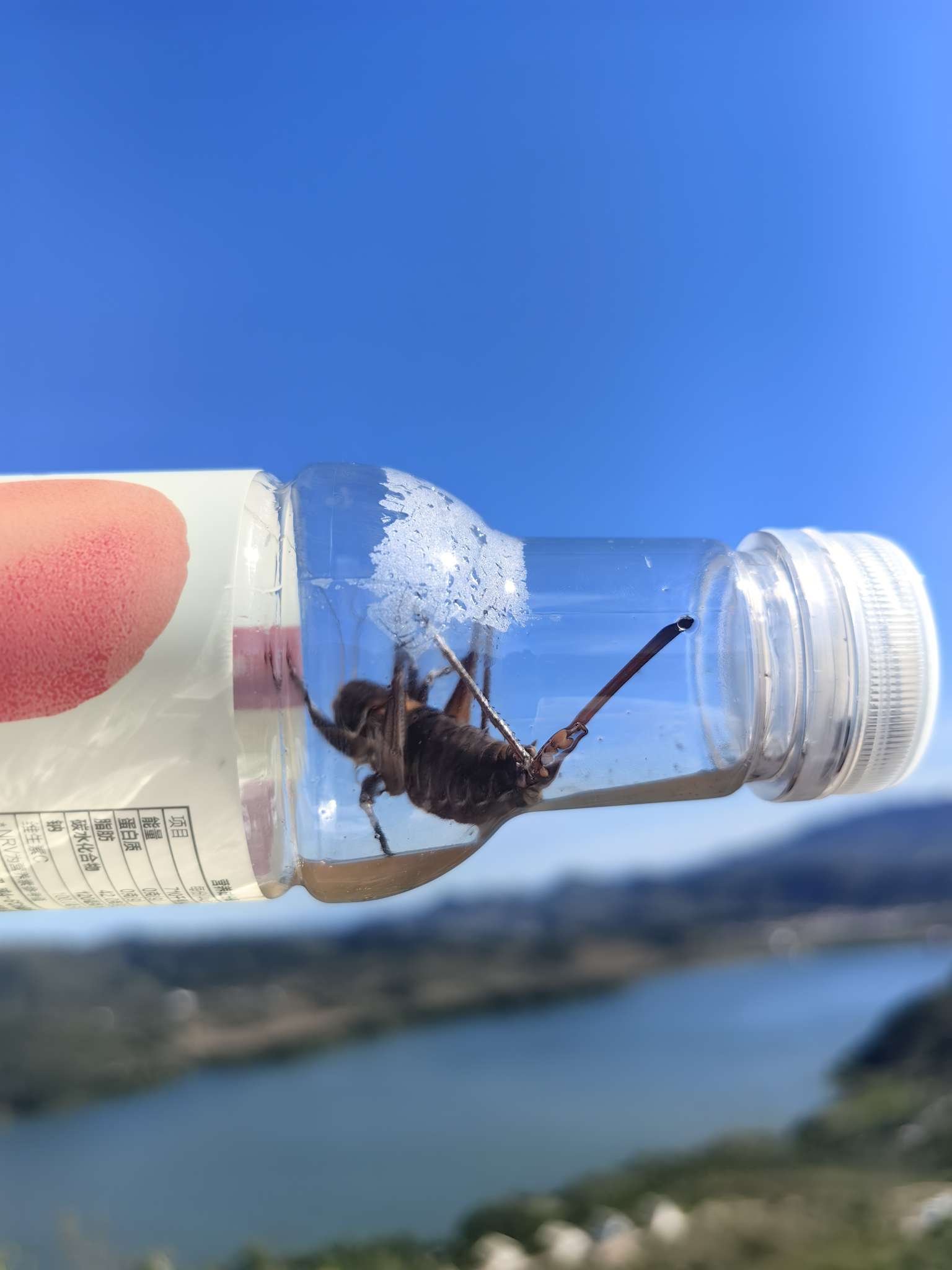 找扯淡闲聊搭子
