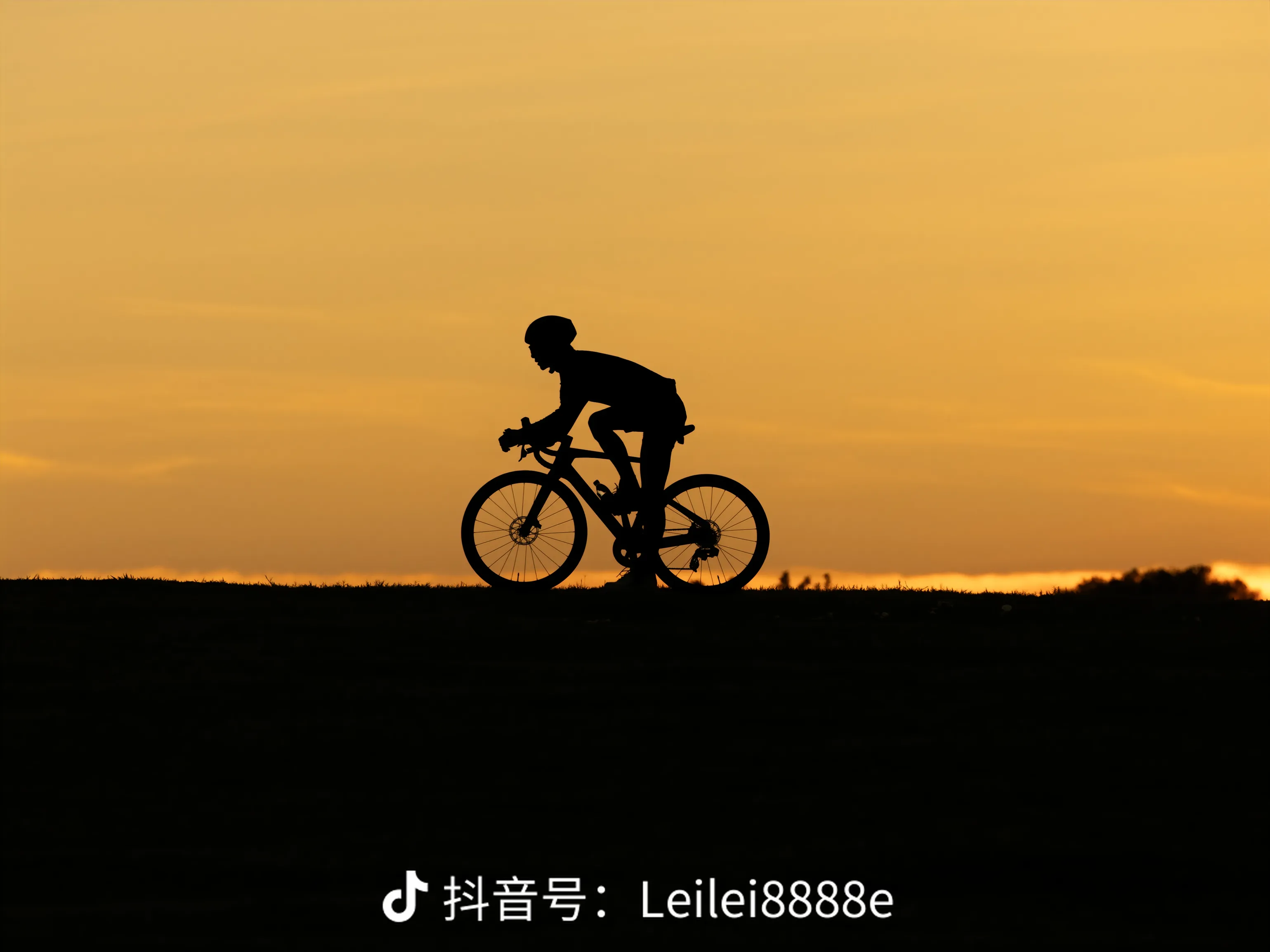 找运动搭子