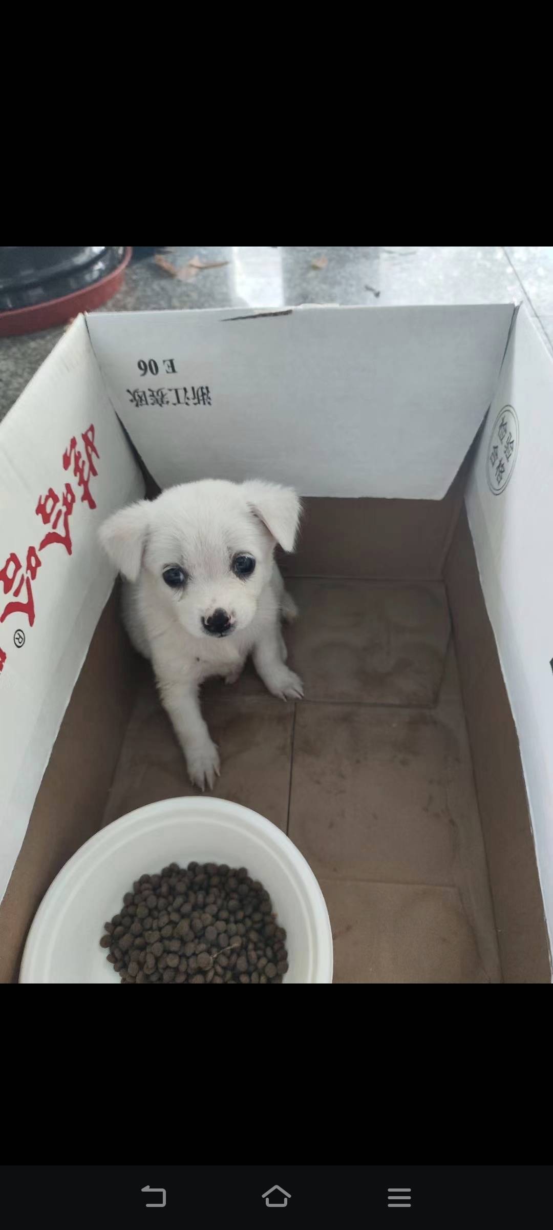 找运动搭子