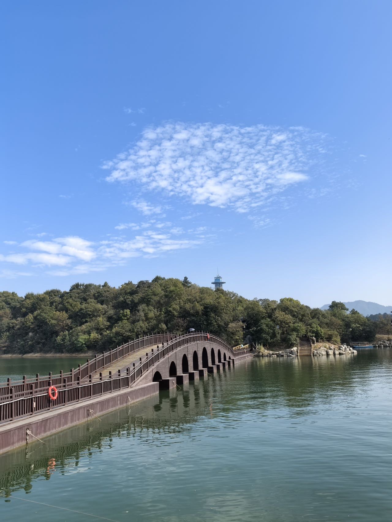 找旅游搭子