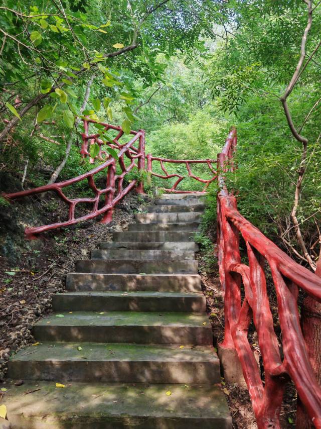 找自驾游搭子