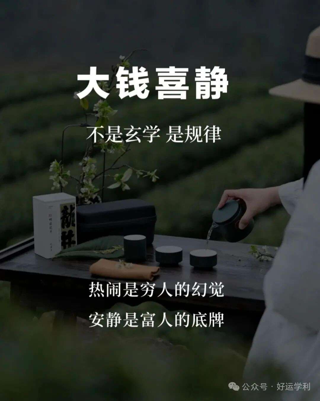 找看电影搭子