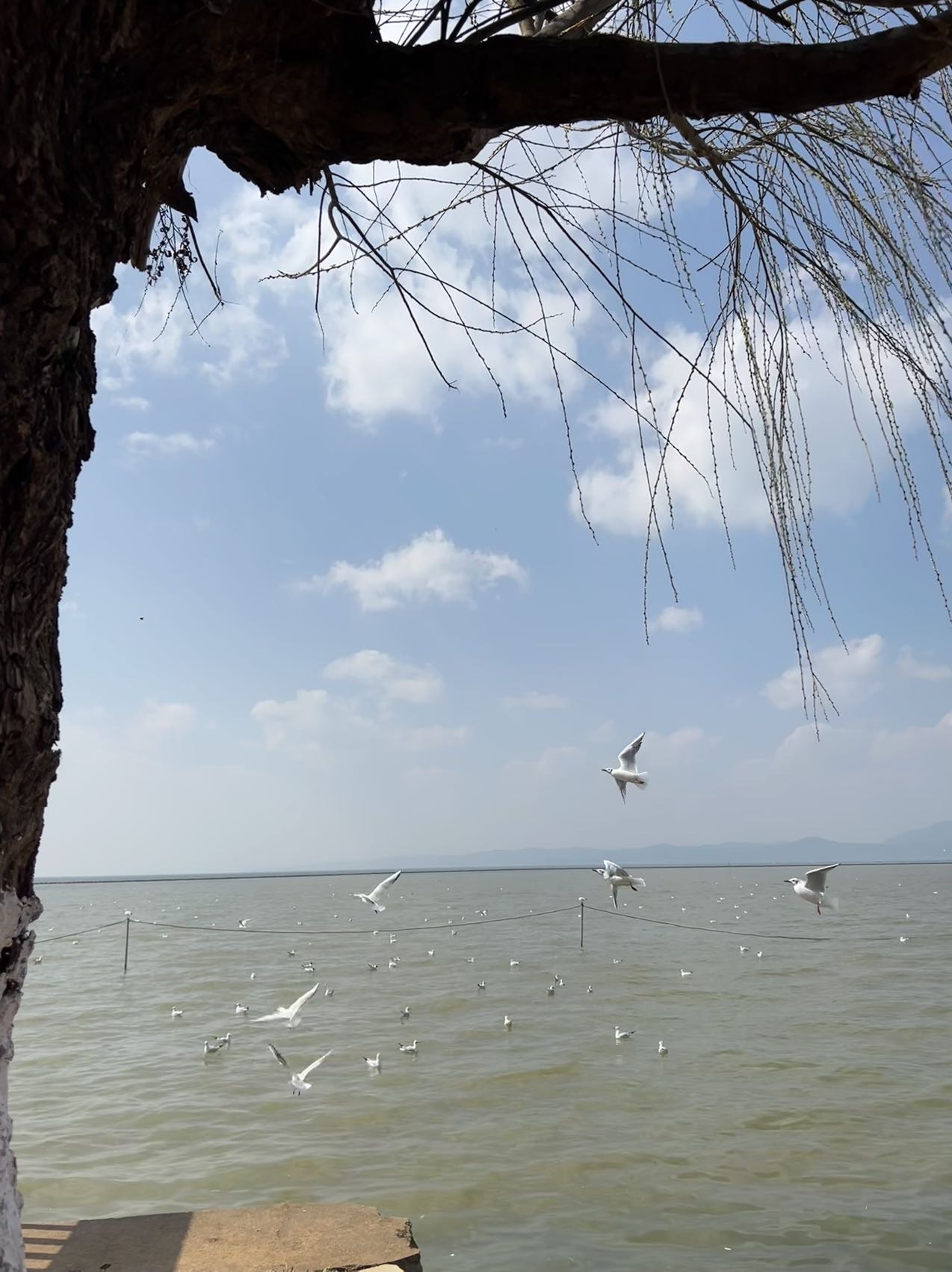 找旅游搭子