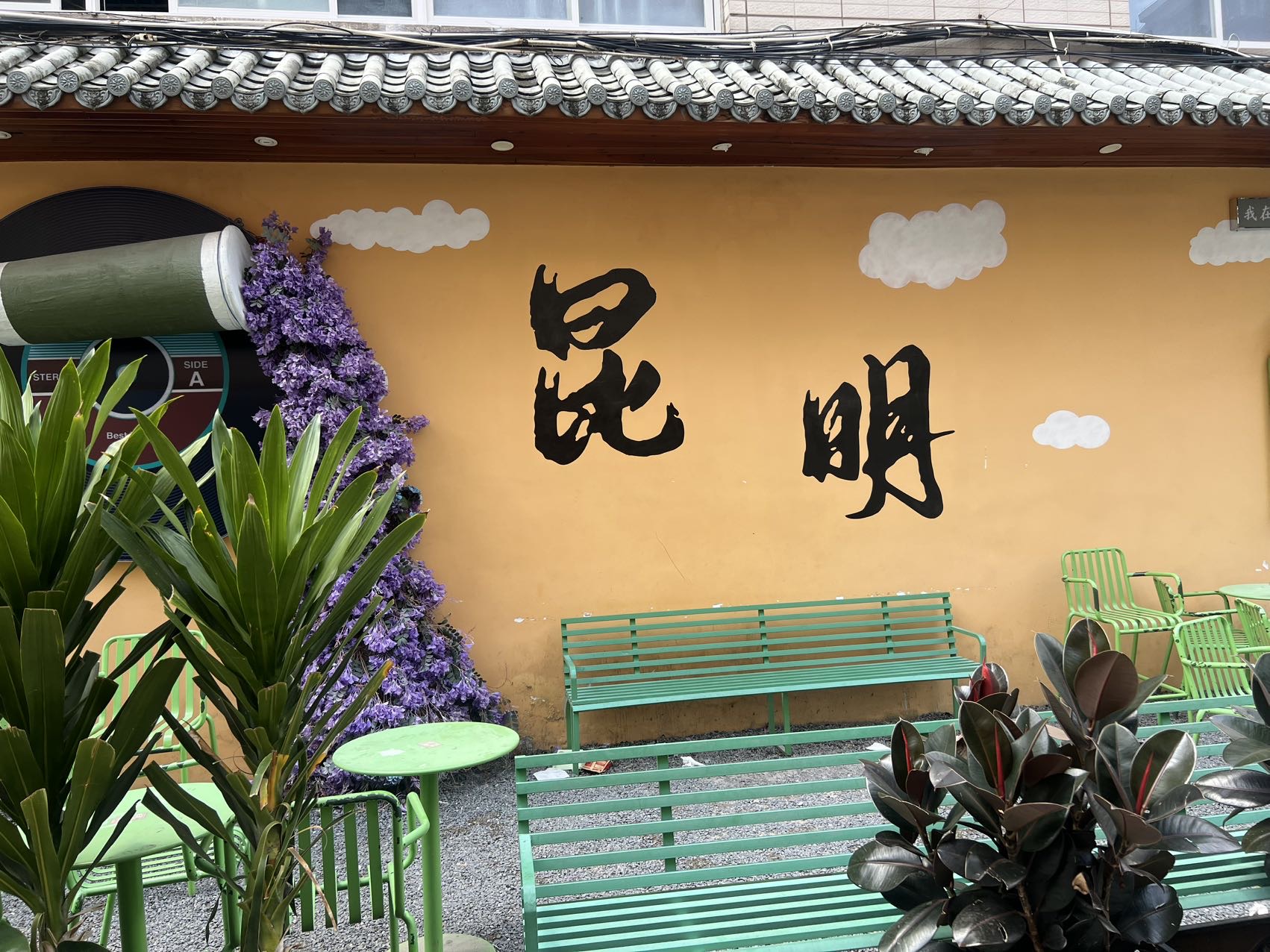 找旅游搭子