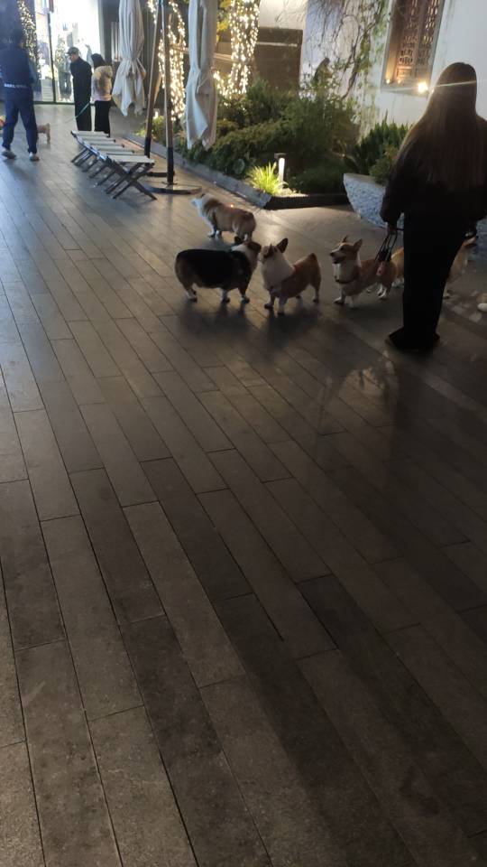 找打发时间搭子