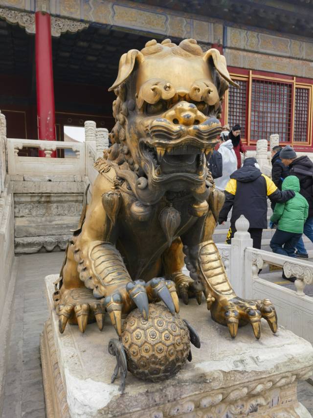 找玩搭子