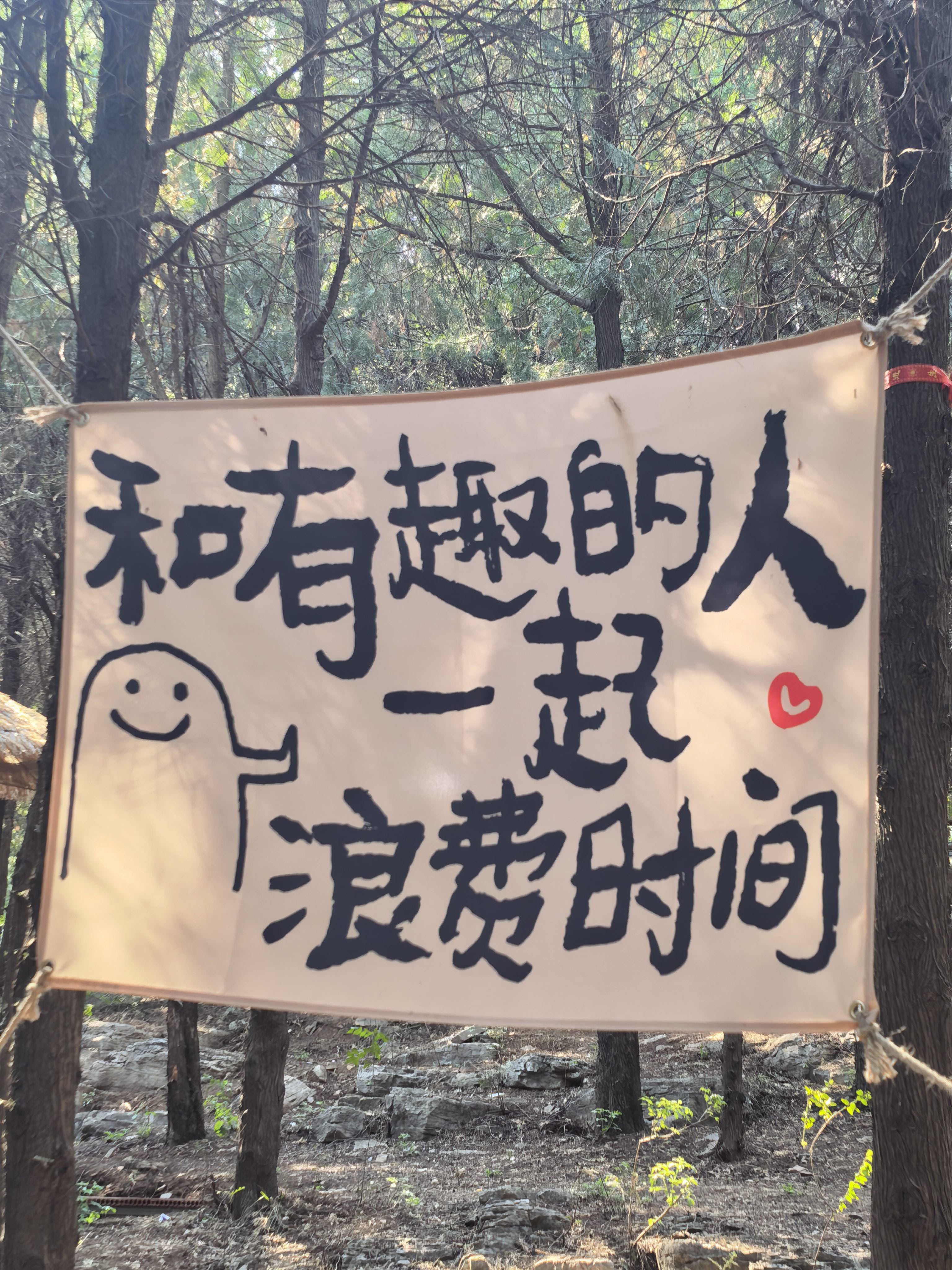 找学习搭子