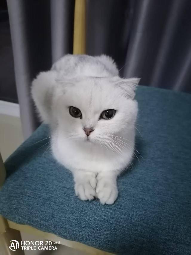 找散散步聊聊天搭子