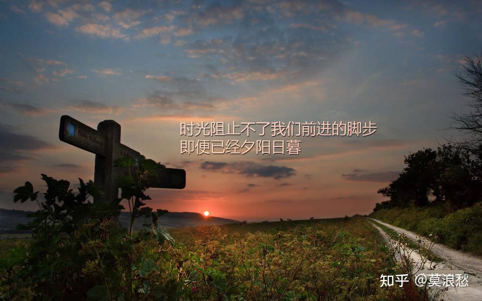 找提升认知搭子