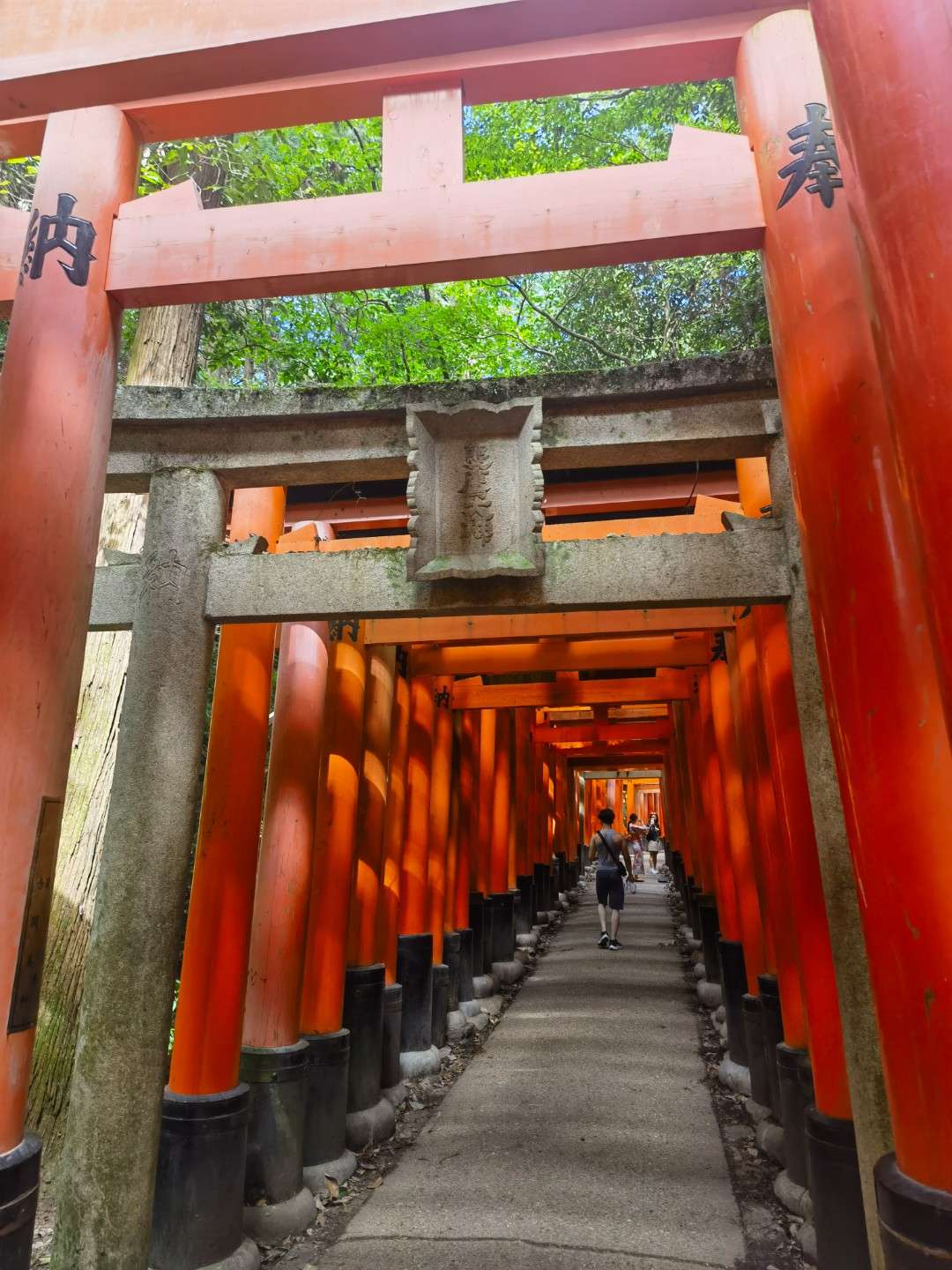 找旅游搭子