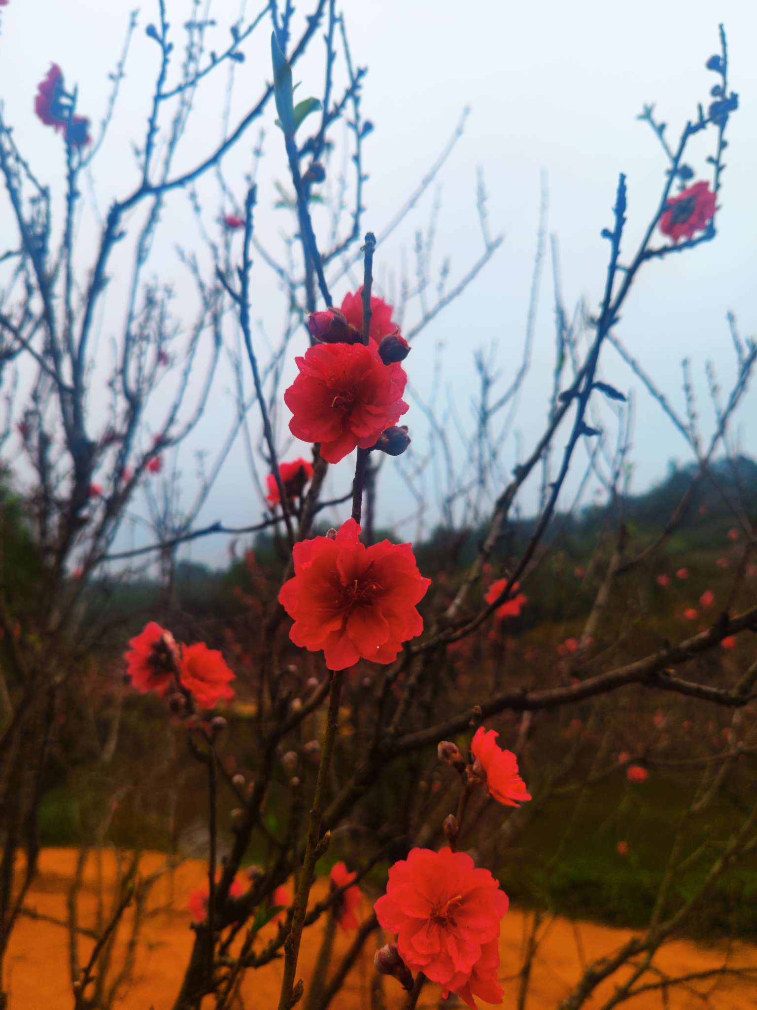 找旅行搭子