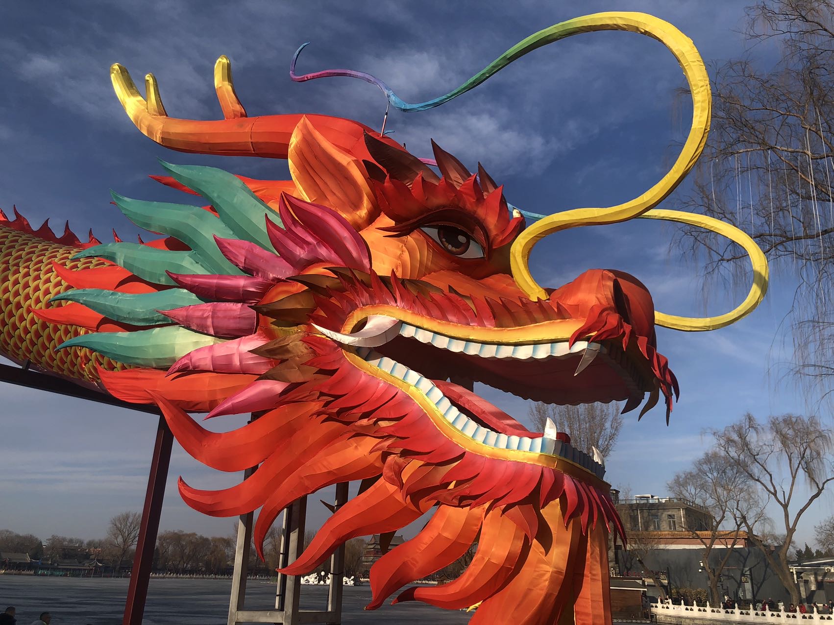 找旅行搭子