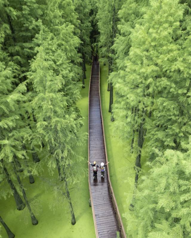 找兴趣搭子