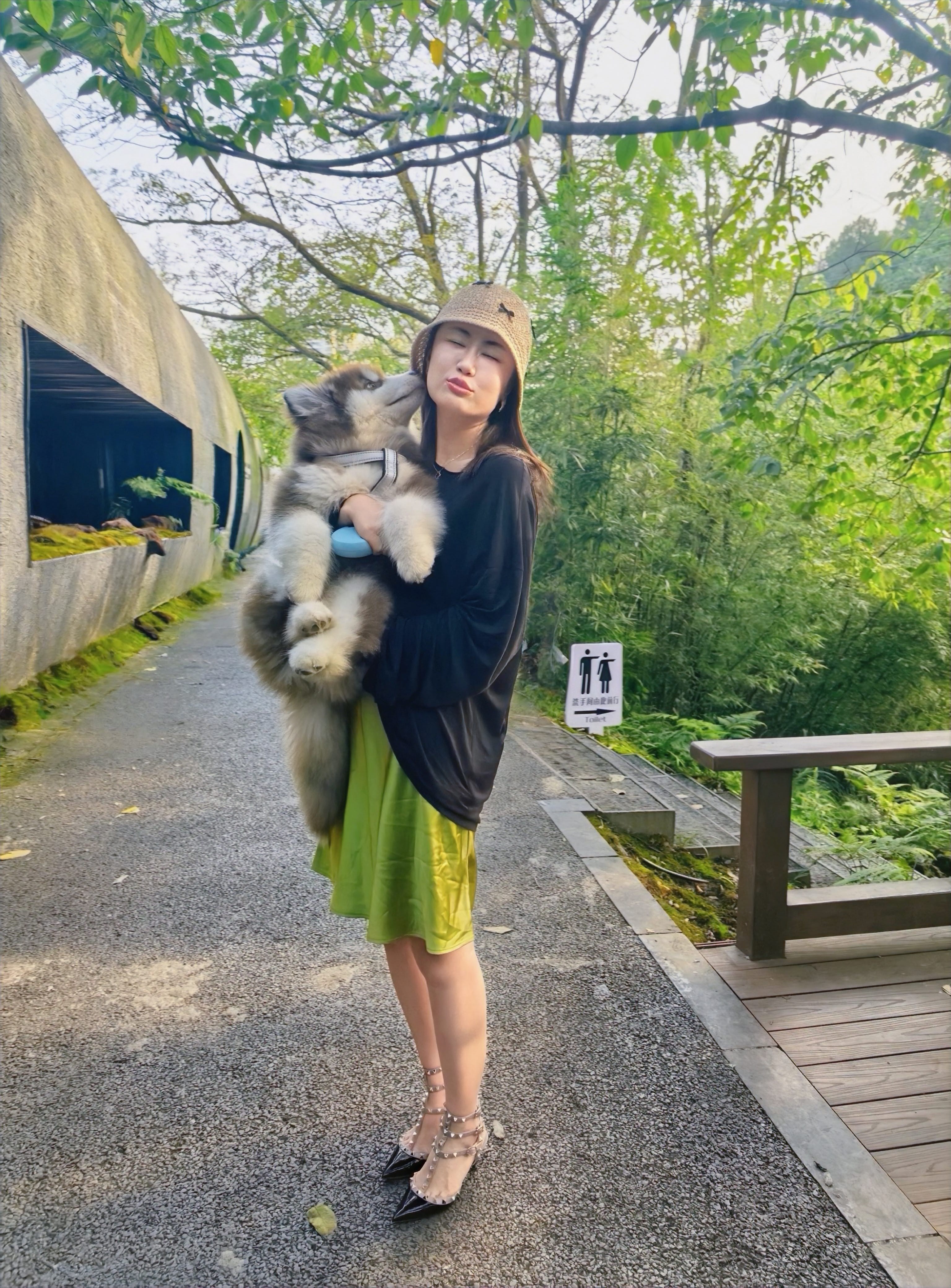 找遛狗搭子