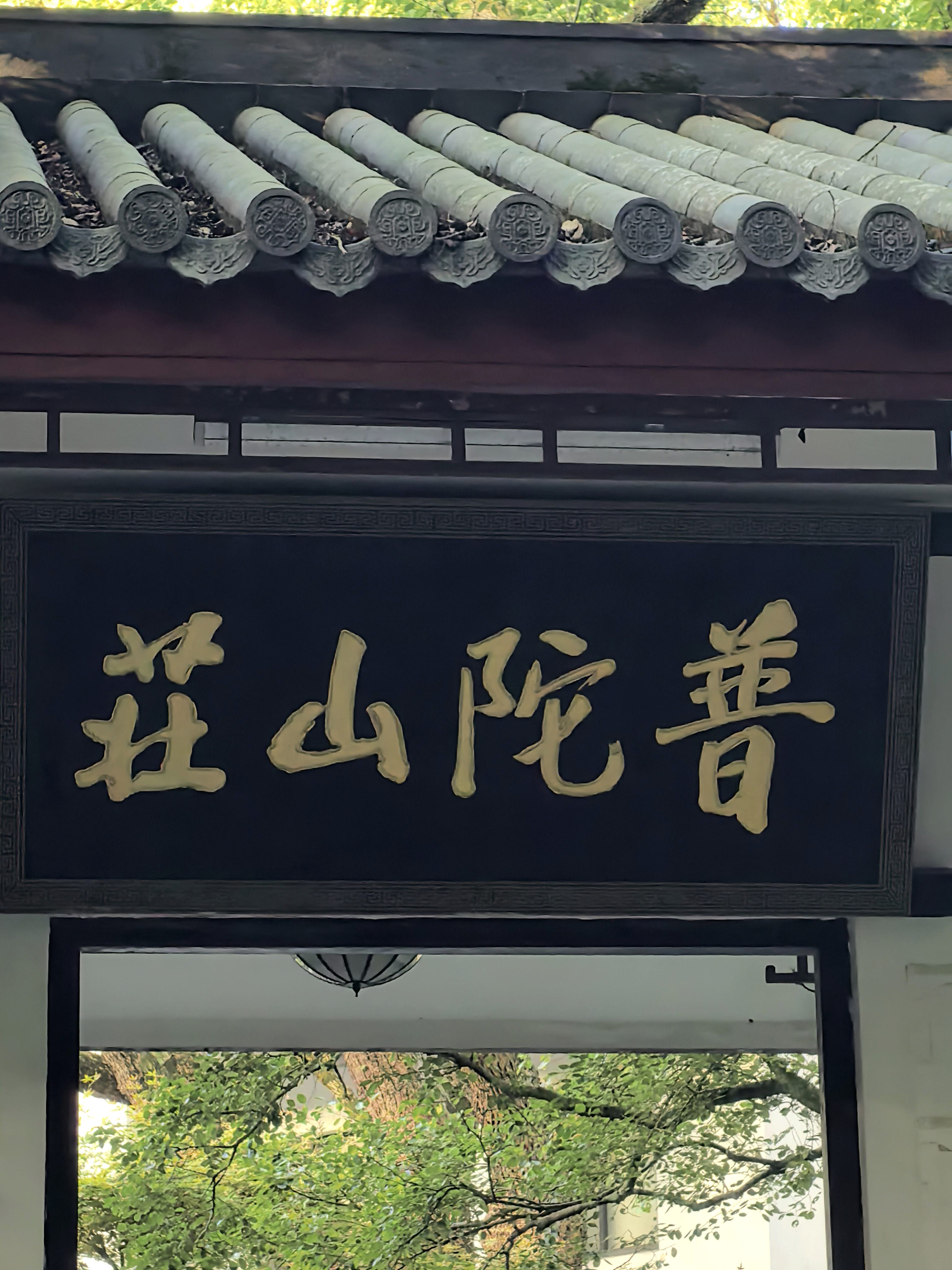 找旅游搭子