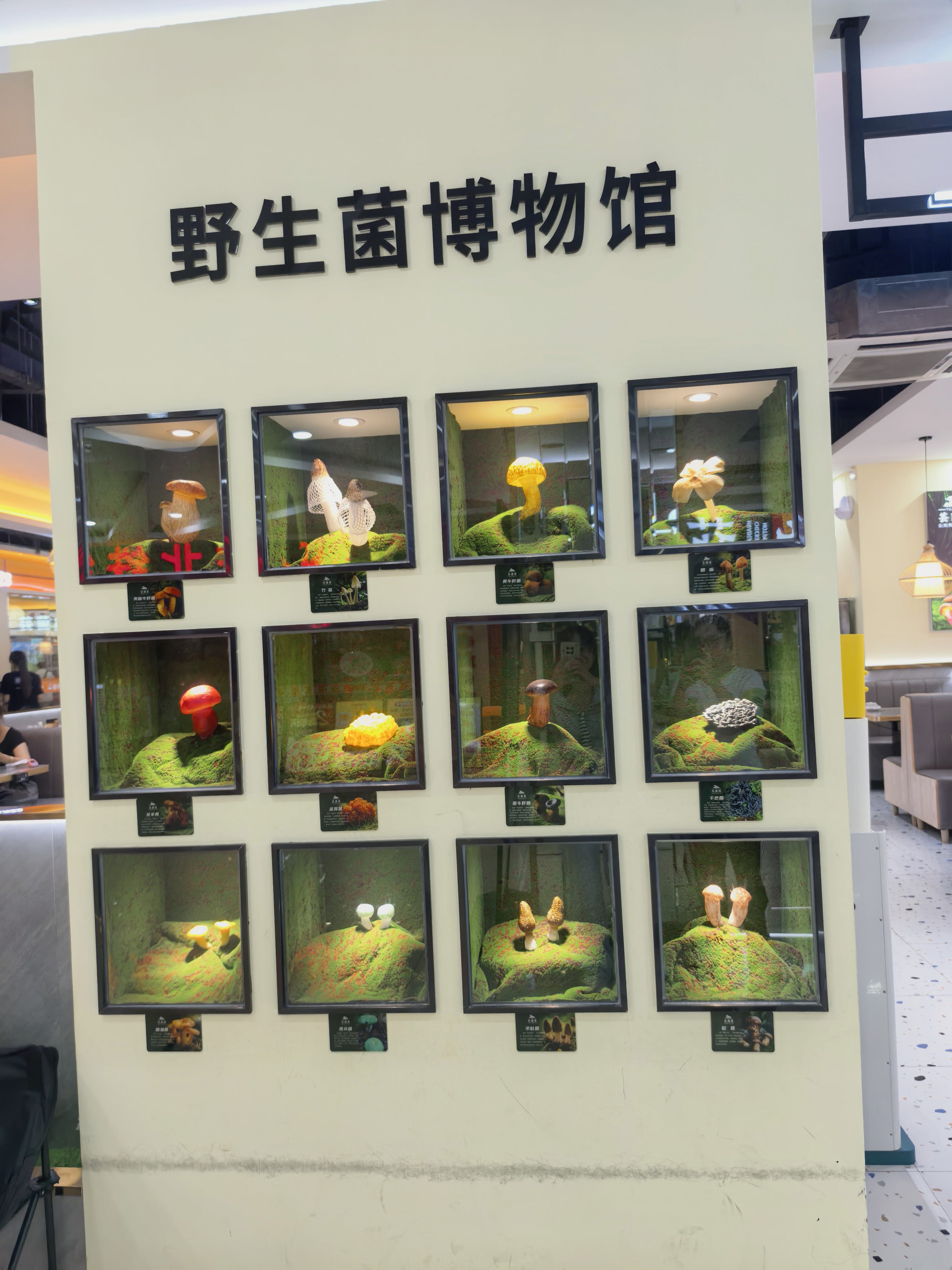 找骑行登山看书搭子