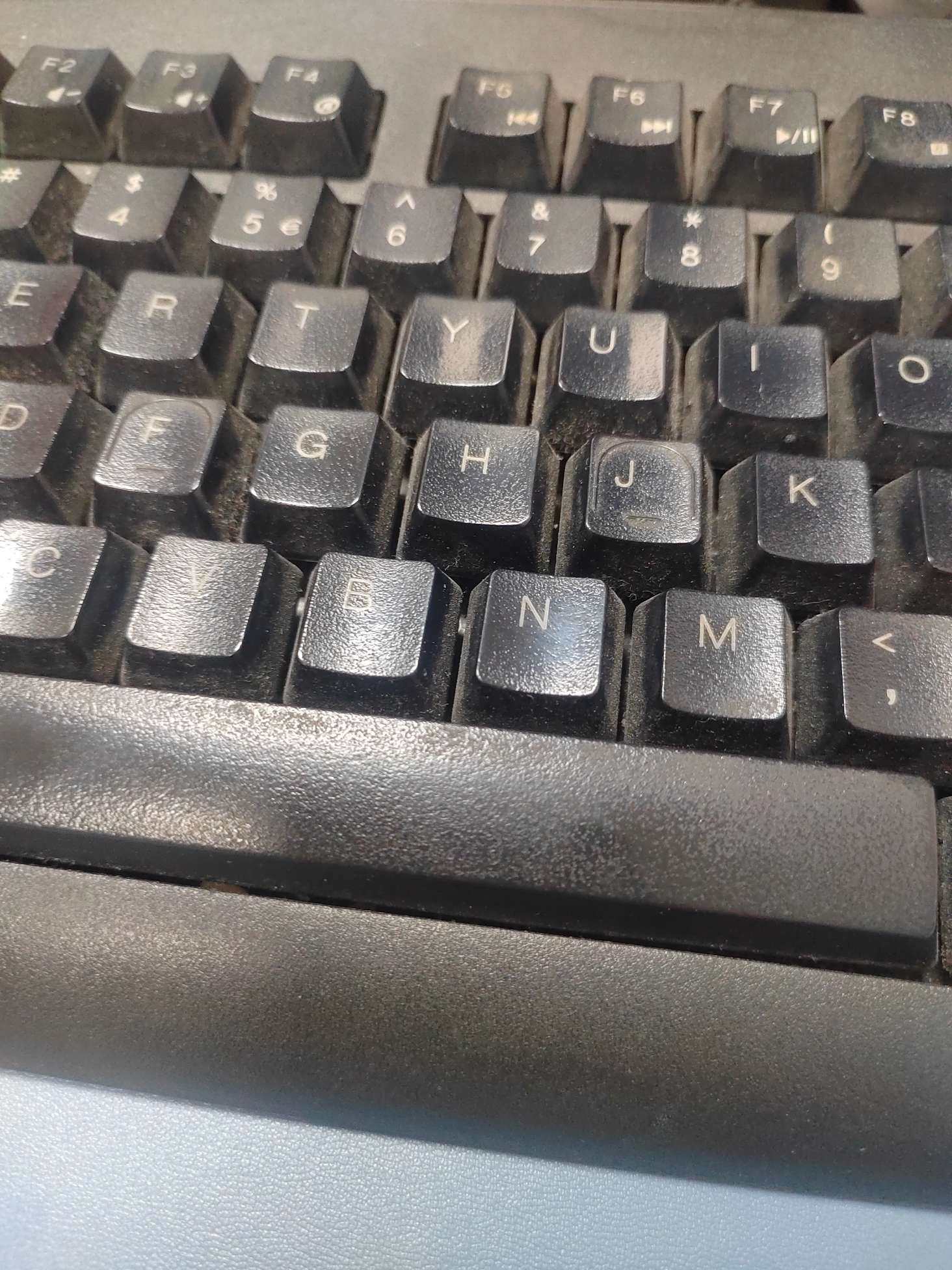 找伴侣搭子