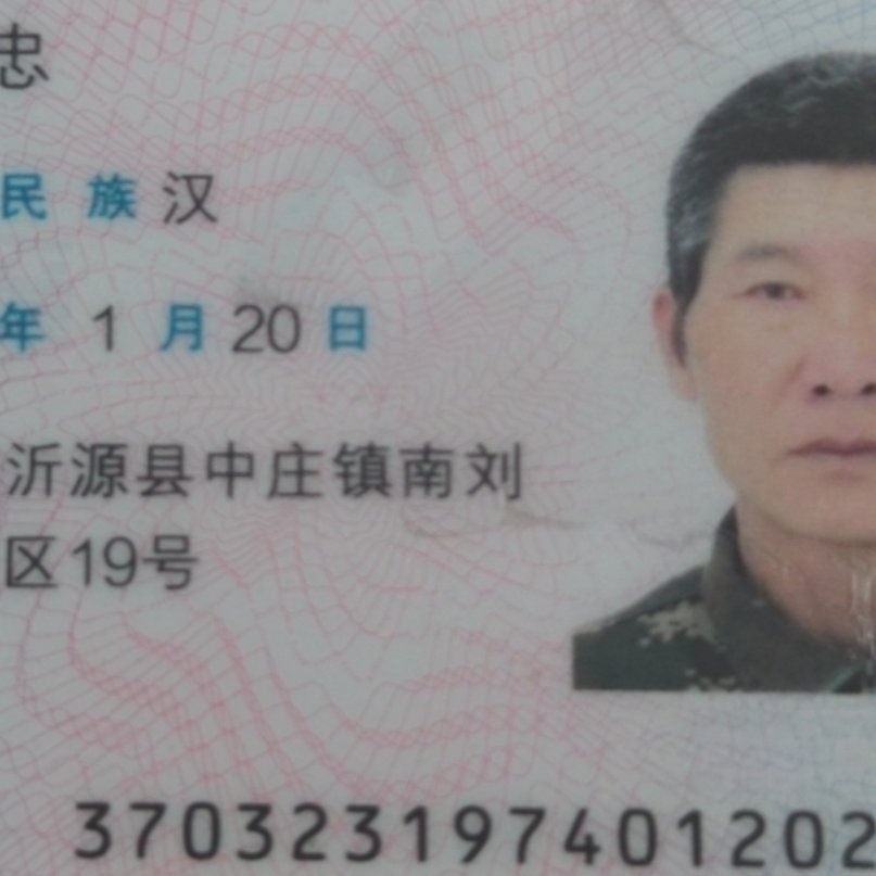 找交友或伴侣搭子