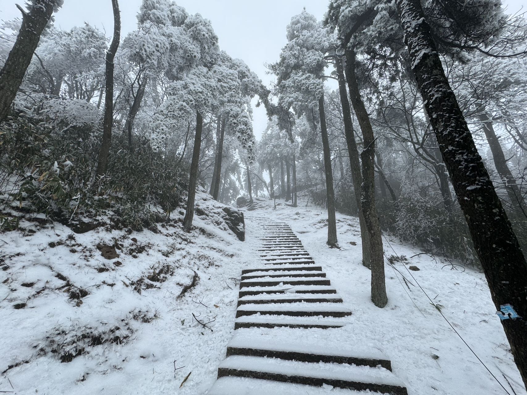 找旅游游戏约饭搭子