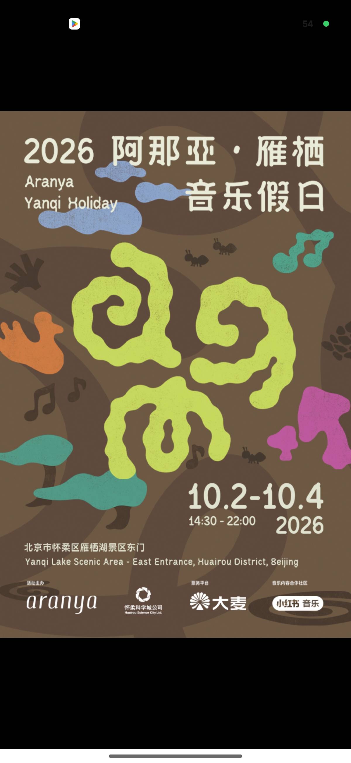 找音乐节搭子