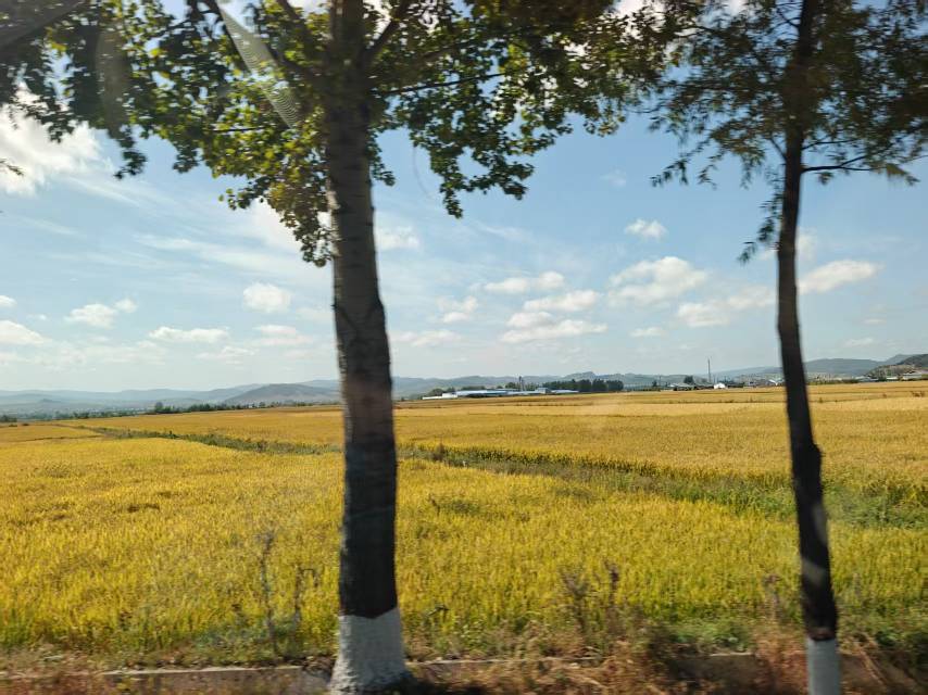 找旅行搭子