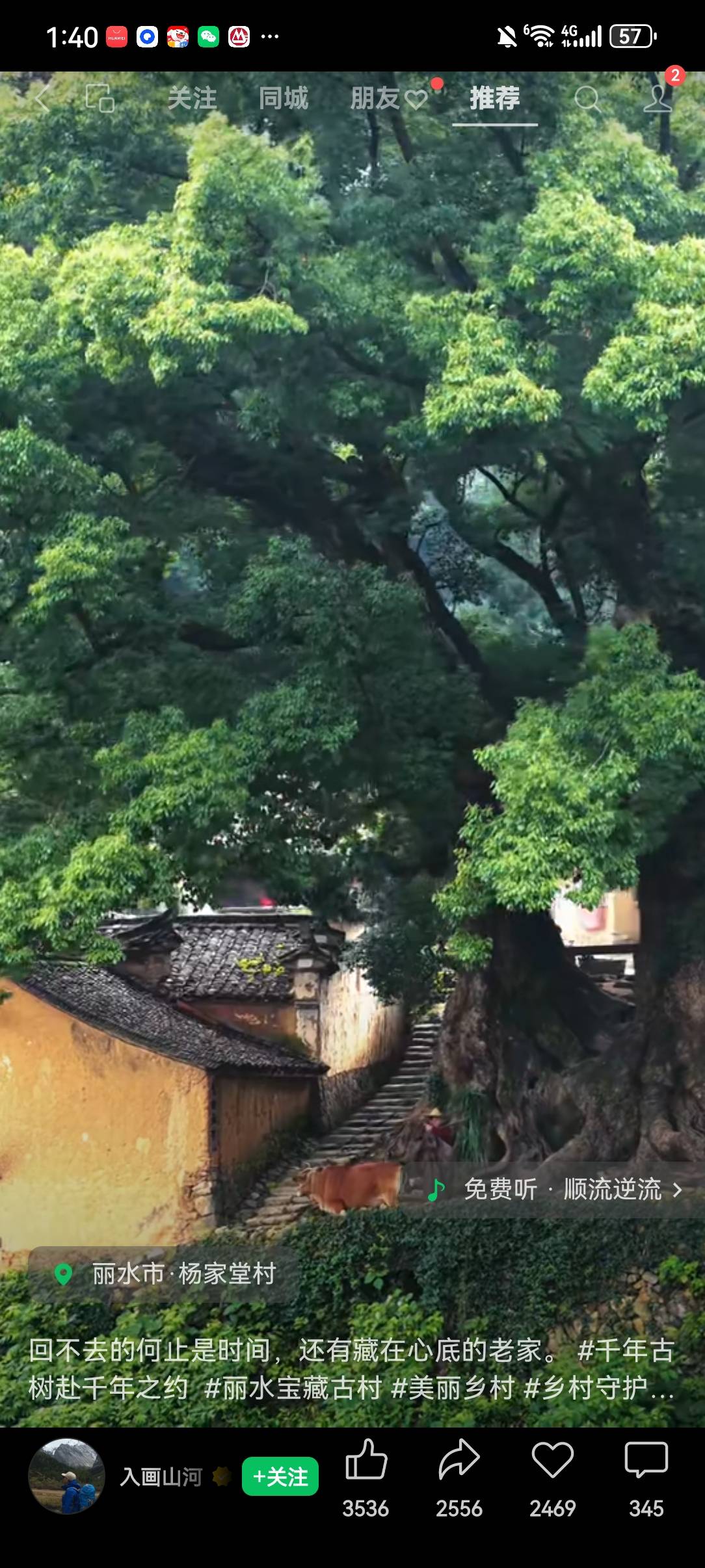 找自由行搭子