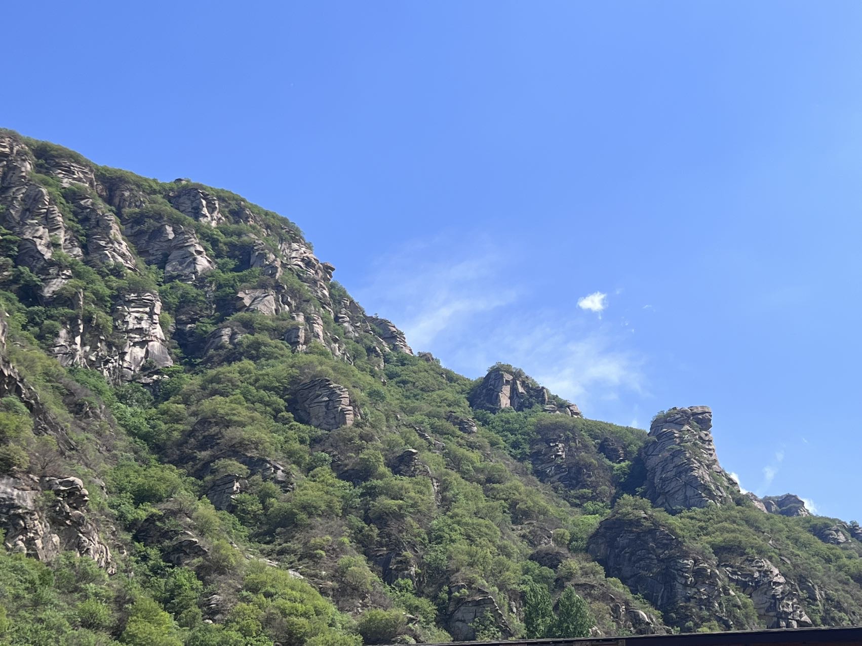 找跑步旅游逛街搭子