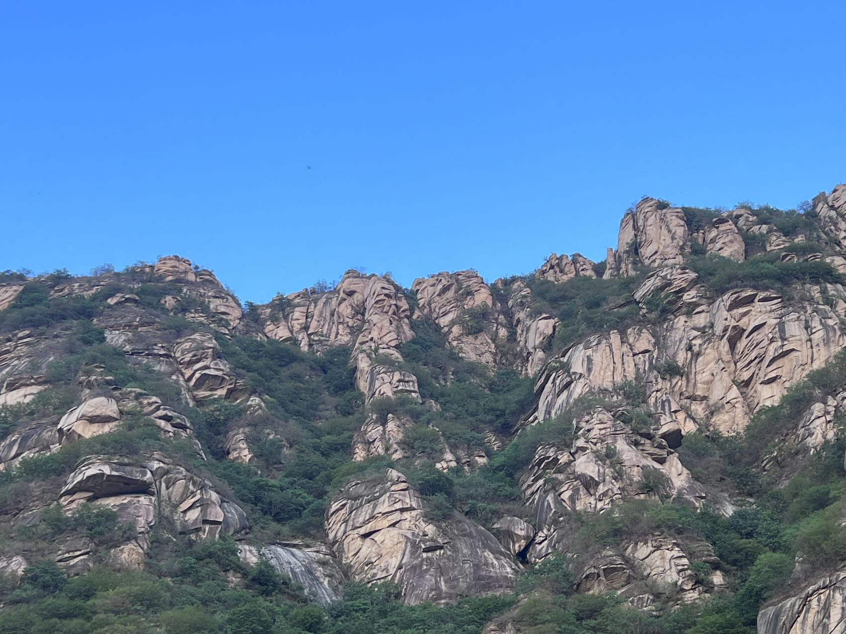找跑步旅游逛街搭子
