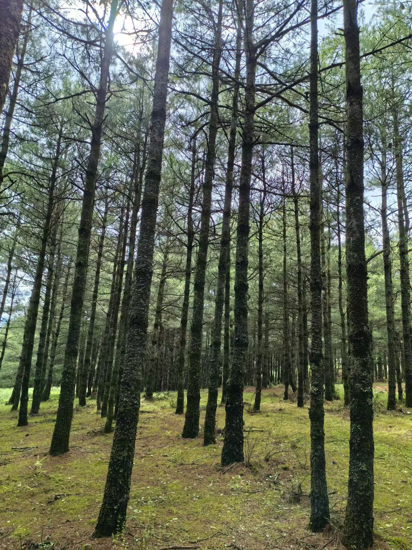 找旅游吃饭搭子